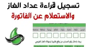 رابط الاستعلام عن فاتورة الغاز بتروتريد