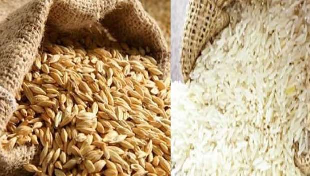 سعر طن الأرز الشعير اليوم الثلاثاء .. الطن بكام؟