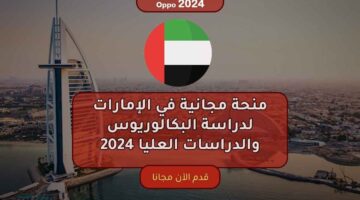 bachelor master scholarships uae