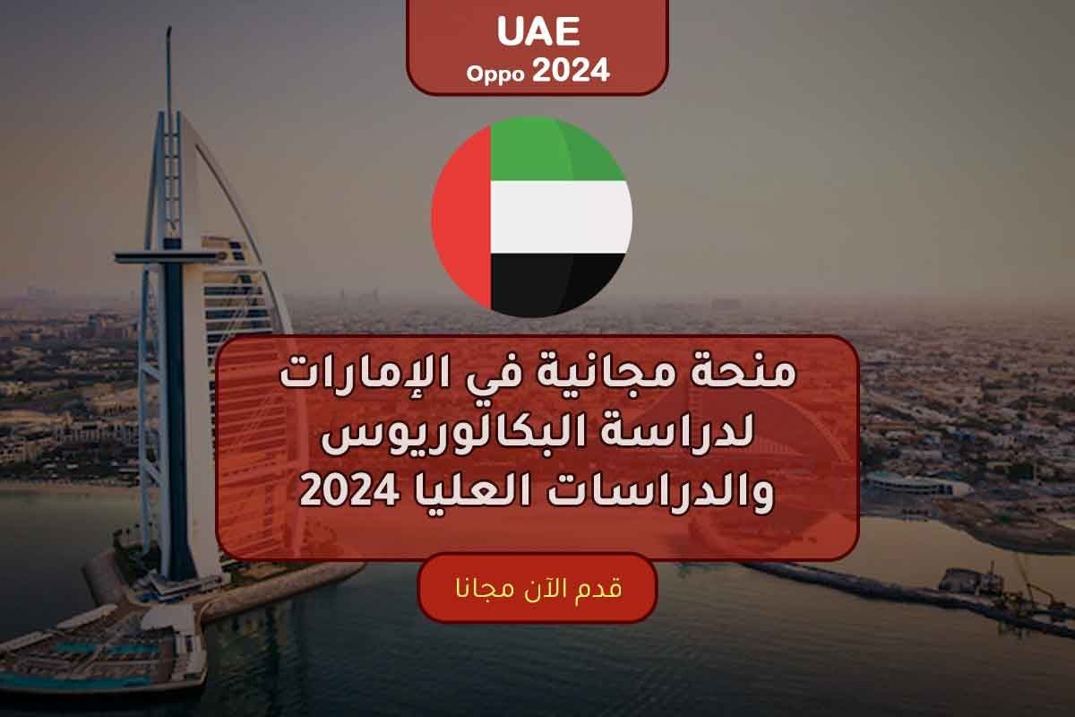 أفضل 3 منح دراسية في الإمارات 2024