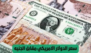 الأخضر بكام النهارده .. سعر الدولار اليوم مقابل الجنيه بالبنوك المصرية