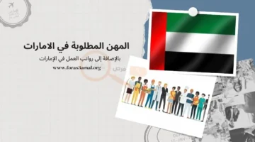 أكثر التخصصات و المهن المطلوبة في الإمارات 2024 وأيضا رواتب العمل في الإمارات 1