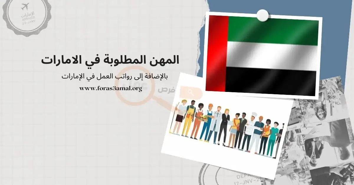 أكثر التخصصات في العمل بالإمارات التي تحقق أعلى الرواتب .. تعرف عليها