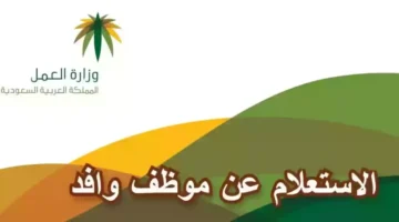 الاستعلام عن موظف وافد 1024x536 1