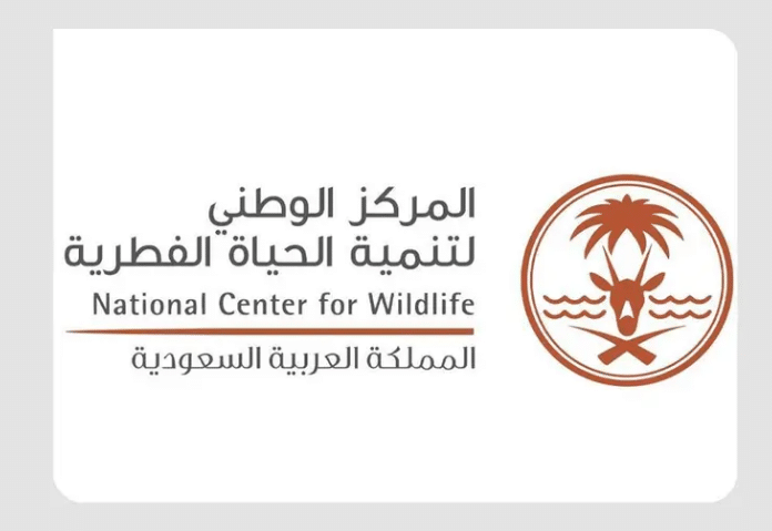 المركز الوطني لتنمية الحياة الفطرية يبحث عن خبراء في علوم البيانات … متطلبات التقديم