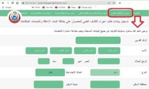  كارت الخدمات المتكاملة وزارة التضامن الاجتماعى السجل القومى للاعاقة