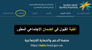 منصة"رابط التسجيل في الضمان الاجتماعي عبر منصة نفاذ 1446 وخطوات الاستعلام عن الدعم بكل سهولة" نفاذ