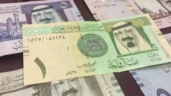 كم بلغ سعر الريال السعودي أمام الجنيه المصري اليوم الثلاثاء 31 ديسمبر 2024؟