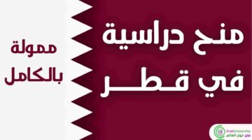 scholarships in qatar 2025