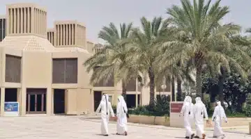 جامعة قطر