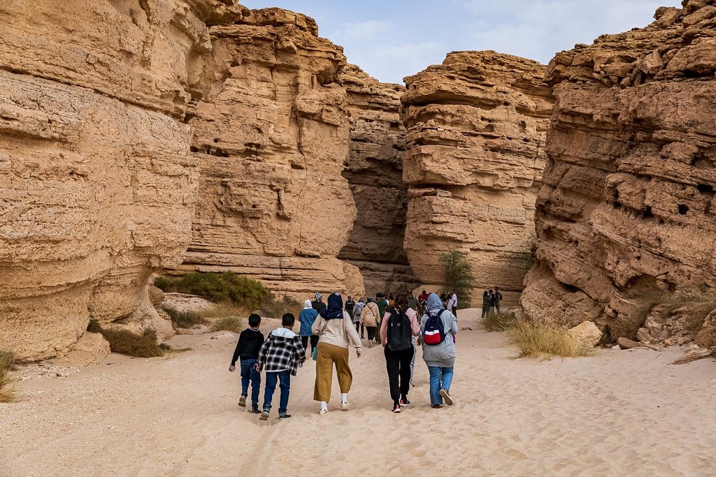 “مبادرات بيئية في محمية الملك خالد: إعادة توطين الفصائل الفطرية وتعزيز السياحة”