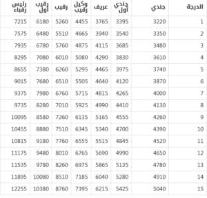 راتب جندي الأمن العام مع البدلات في السعودية لعام 1446: سلم الرواتب كامل