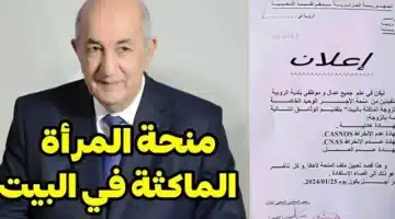 منحة المرأة الماكثة في البيت 2