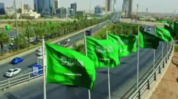 السعودية تطلق مشروعًا ضخمًا لحماية مستقبل اليمنيين من خطر مدمر 2