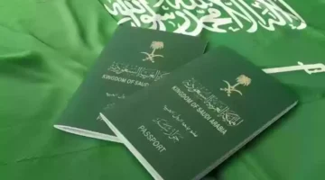 القرار دخل حيز التنفيذ الجوازات السعودية توقف إصدار تأشيرات الزيارة لهذه الفئات 1