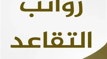 تعديل موعد صرف جرايات المتقاعدين 14462025 – هل يحقق ا