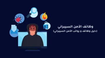 فرص عمل مميزة في الأمن السيبراني والمحتوى الرقمي تقدمها Taqeem 2