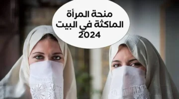 منحة المرأة الماكثة بالبيت 2025 فرصتك للحصول على الدعم المالي بسرعة 2